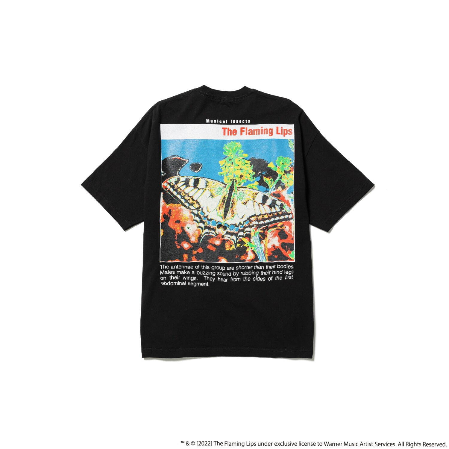 90s 古着 黒 Ladies KIDS フレイミングリップス 90s 古着 黒 Ladies KIDS フレイミングリップス