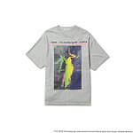 フラグスタフ(F-LAGSTUF-F) ザ・フレーミング・リップス｜写真17