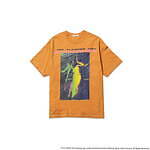 フラグスタフ(F-LAGSTUF-F) ザ・フレーミング・リップス｜写真19