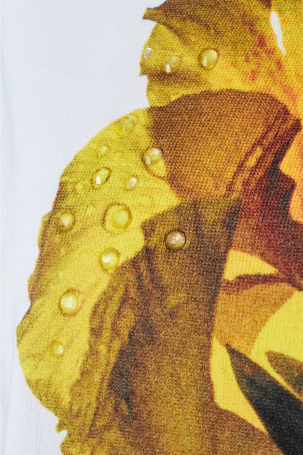 タエ アシダのフラワーフォトTシャツ“雫のように”輝くラインストーン、芦田多恵が撮り下ろし｜写真19