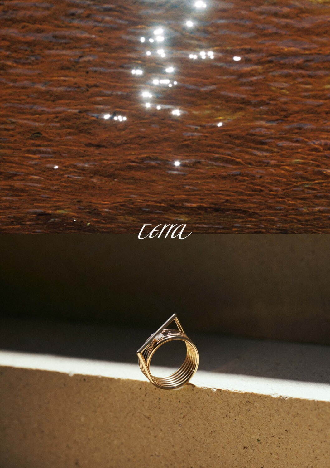 テラ(Terra) テラ｜写真2