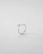 テラ(Terra) テラ｜写真13