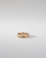 テラ(Terra) テラ｜写真6