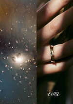 テラ(Terra) テラ｜写真1