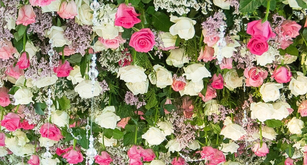 ハウステンボス“100万本のバラ&1,250品種のあじさい”咲く初夏イベント、夜はイルミネーションも｜写真11