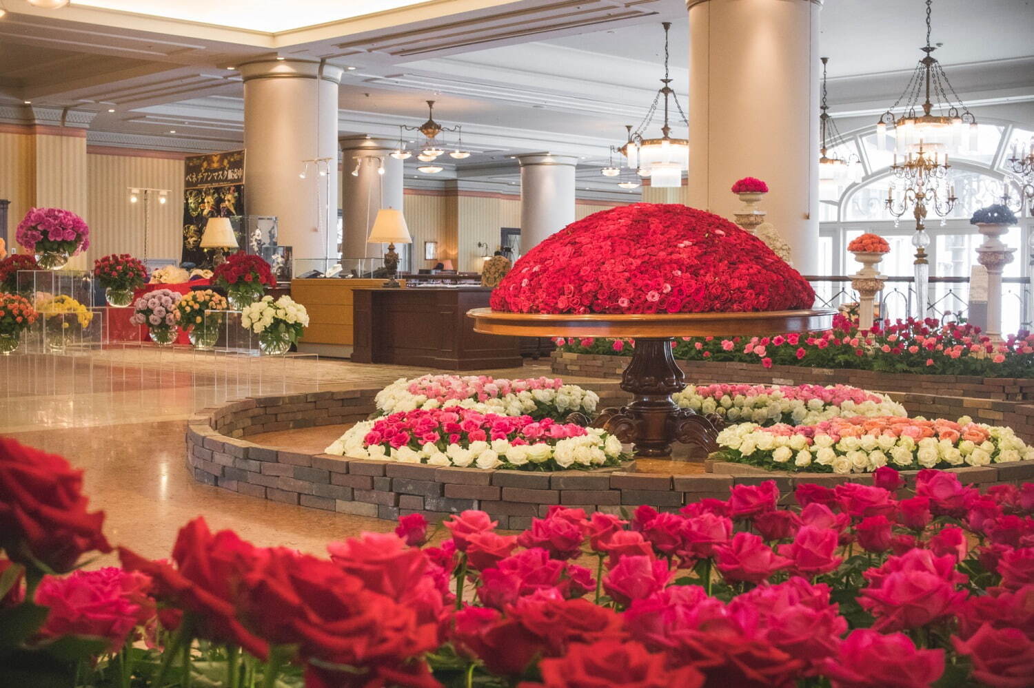 ハウステンボス“100万本のバラ&1,250品種のあじさい”咲く初夏イベント、夜はイルミネーションも｜写真10