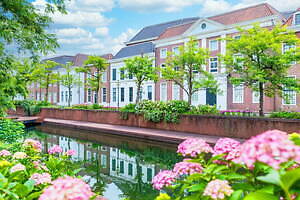 ハウステンボス“100万本のバラ&1,250品種のあじさい”咲く初夏イベント、夜はイルミネーションも｜写真6