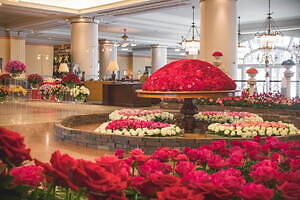 ハウステンボス“100万本のバラ&1,250品種のあじさい”咲く初夏イベント、夜はイルミネーションも｜写真10