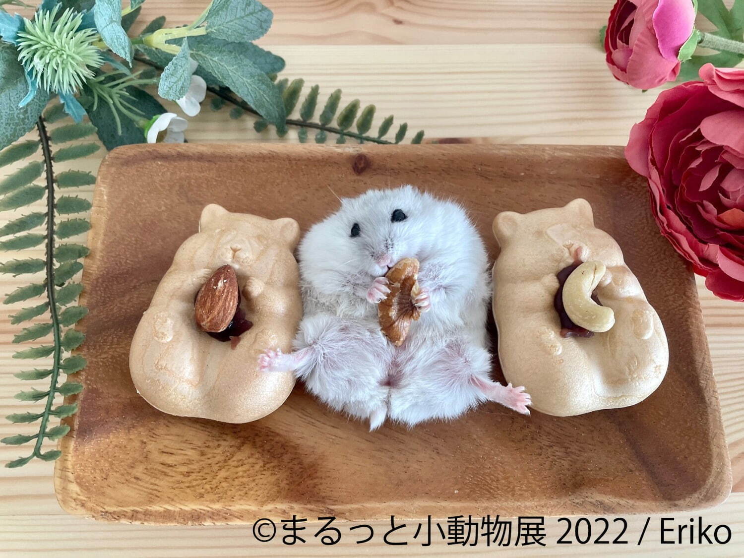 「まるっと小動物展 2022」名古屋＆東京で、ハムスターやリスなど小動物たちの写真展＆グッズ販売｜写真3