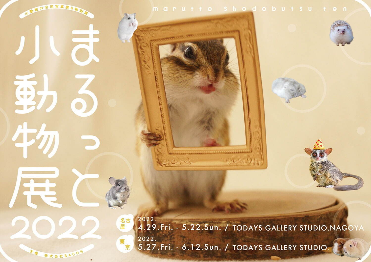 「まるっと小動物展 2022」名古屋＆東京で、ハムスターやリスなど小動物たちの写真展＆グッズ販売｜写真19