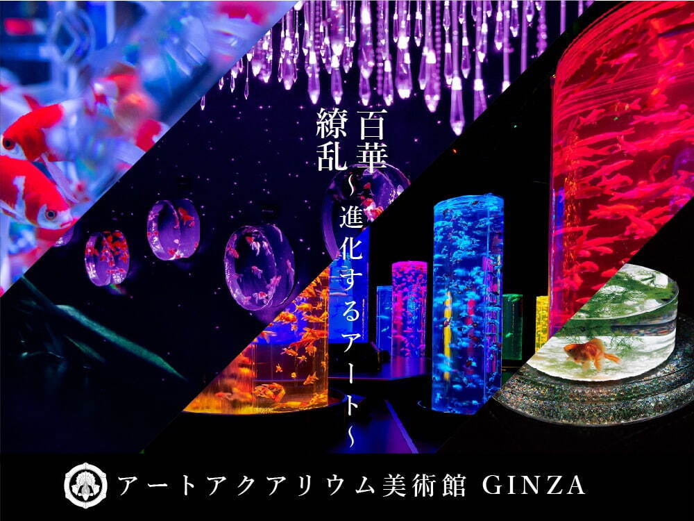 「アートアクアリウム美術館 GINZA」銀座三越にオープン、金魚が舞泳ぐ常設アート空間｜写真9