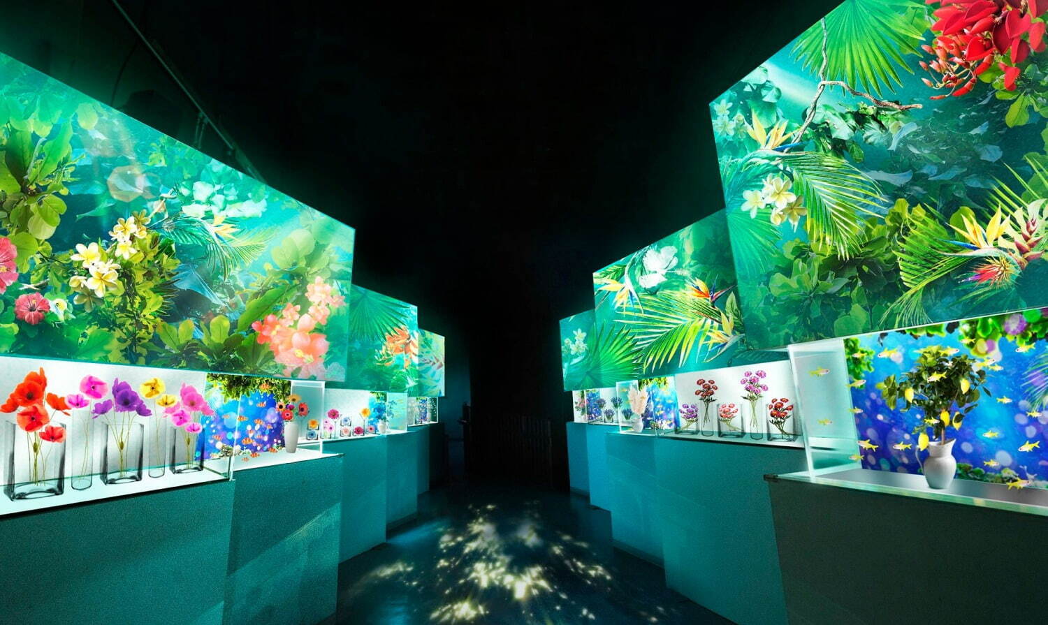 マクセル アクアパーク品川“花と緑”の初夏イベント、花が咲くイルカショーや音×光のクラゲ水槽|写真5