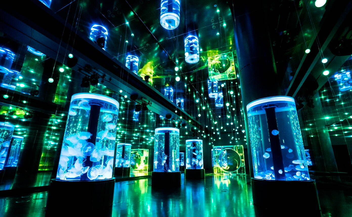 マクセル アクアパーク品川“花と緑”の初夏イベント、花が咲くイルカショーや音×光のクラゲ水槽|写真7