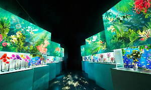 マクセル アクアパーク品川“花と緑”の初夏イベント、花が咲くイルカショーや音×光のクラゲ水槽｜写真5