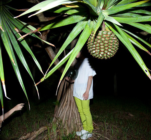 日本人若手写真家9名による写真展 東京・パリで開催 - 赤鹿麻耶、濱田祐史ら｜写真2