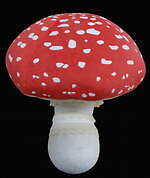 特別展「毒」国立科学博物館で - 有毒生物や人工毒などあらゆる“毒”を探求、標本資料など約250点｜写真25