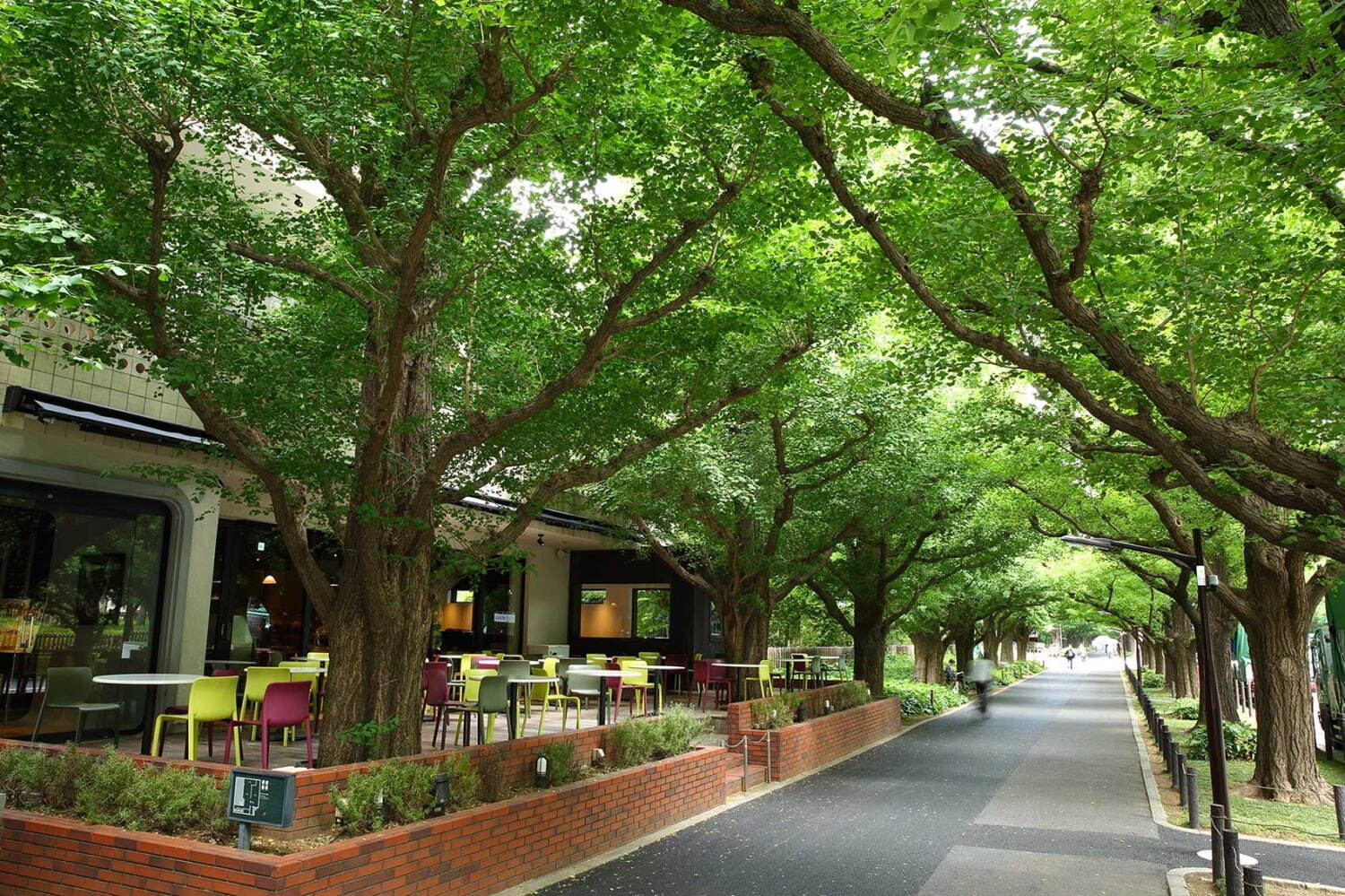 キハチ 青山本店の限定アフタヌーンティー“メロンスペシャル”、全14種のスイーツ＆セイボリー｜写真6