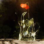 イケアとマリメッコ“北欧サウナ文化”着想、限定プリント柄のキャリーバッグ＆インテリアなど｜写真74