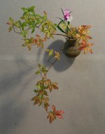 まとふ(matohu) これからと暮らす｜写真1