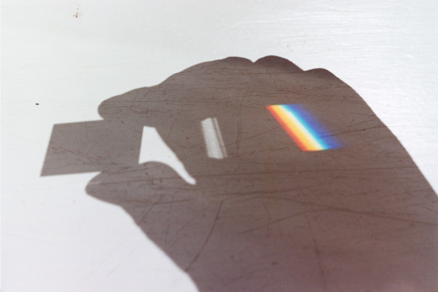 美術館｜展覧会「Flower of Life 生命の花」ヴァンジ彫刻庭園美術館で、川内倫子ら39作家の作品を紹介