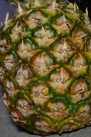 エスロー(ESLOW) 2022年春夏ウィメンズコレクション  - 写真22