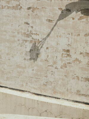 ジュンオカモト(JUN OKAMOTO) 2022-23年秋冬ウィメンズコレクション  - 写真14