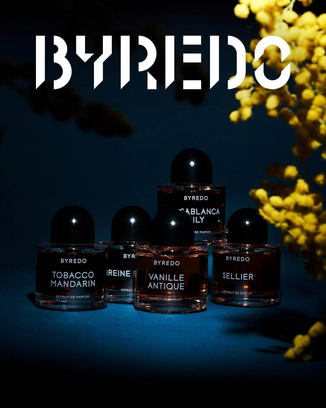 バイレード(BYREDO) ヴァニーユ アンティーク｜写真4