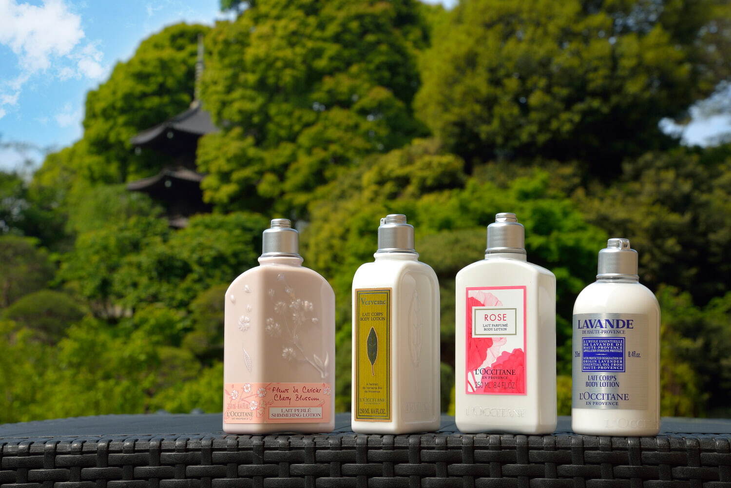 ロクシタン(L'OCCITANE) 東京雲海｜写真12