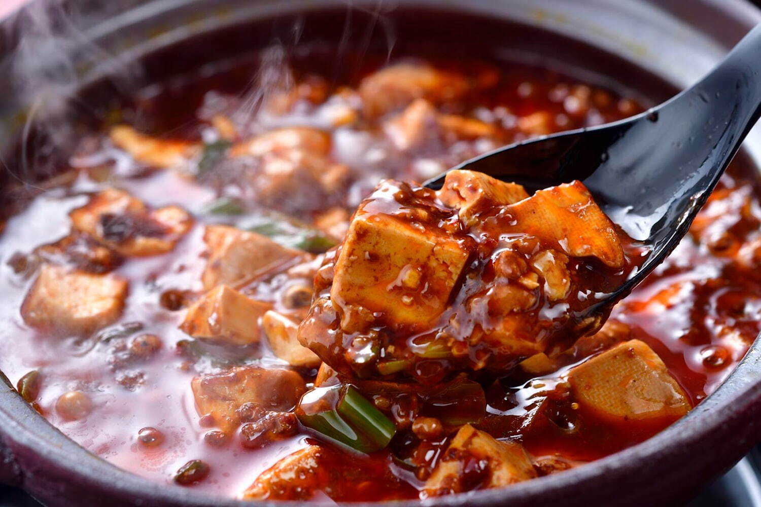 カルチャーフェス(海外の文化やグルメを紹介)｜「四川フェス2022@麻婆豆腐商店街」中野セントラルパークに人気11店舗の麻婆豆腐が集結