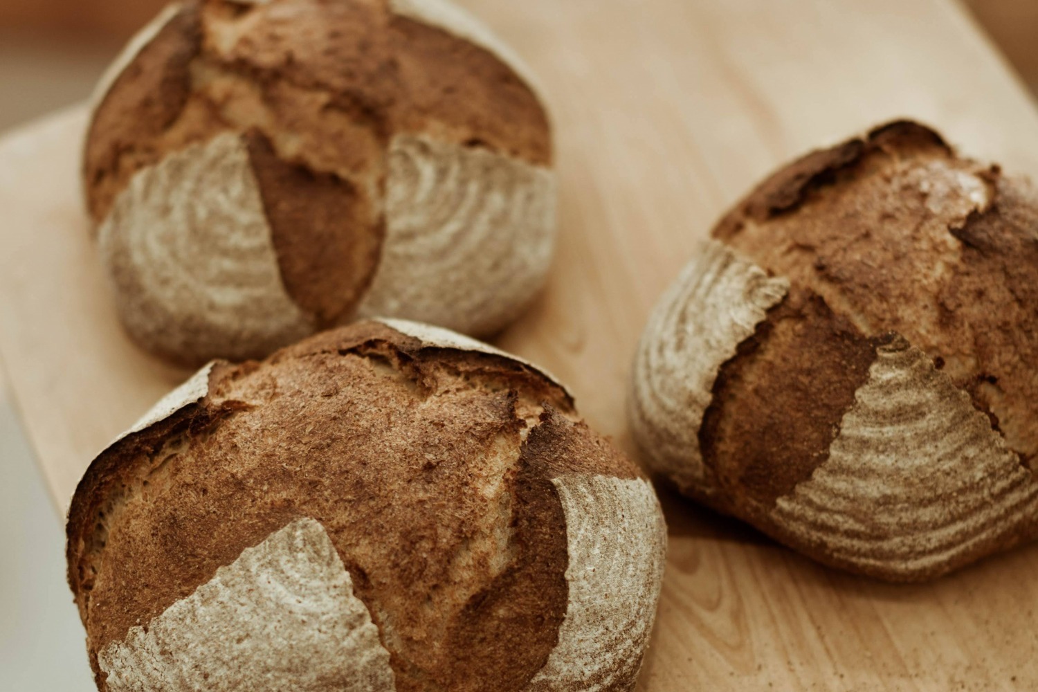 パンフェス(パン祭り)｜パンフェス「パンタスティック!! 」全国の人気ベーカリー＆おもしろご当地パンが広島パルコに