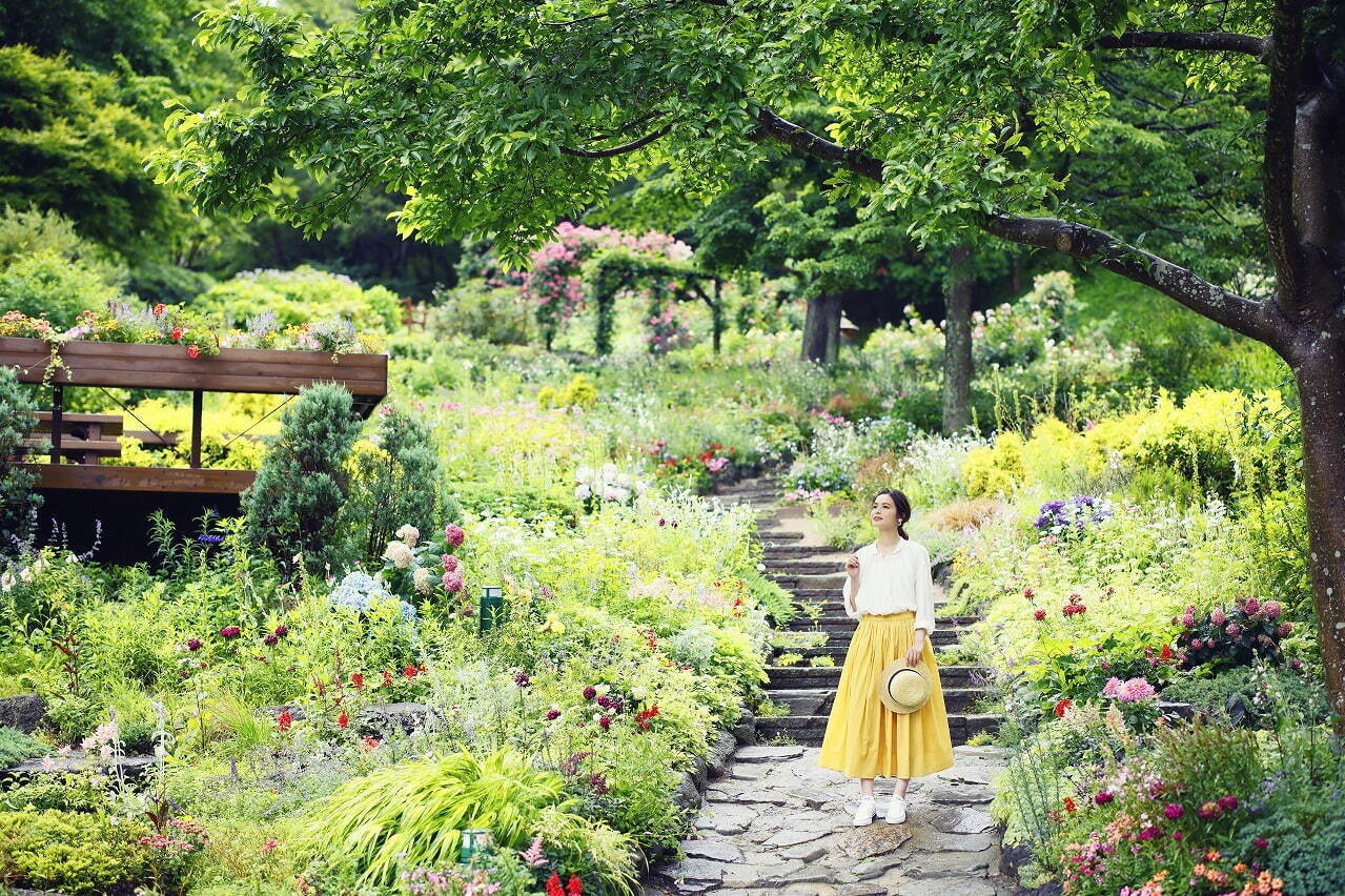 「ラベンダー＆ローズフェア」神戸布引ハーブ園／ロープウェイで、ハーブ約100種が揃うガイドツアーも｜写真19