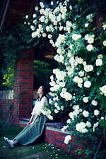 「ラベンダー＆ローズフェア」神戸布引ハーブ園／ロープウェイで、ハーブ約100種が揃うガイドツアーも｜写真5