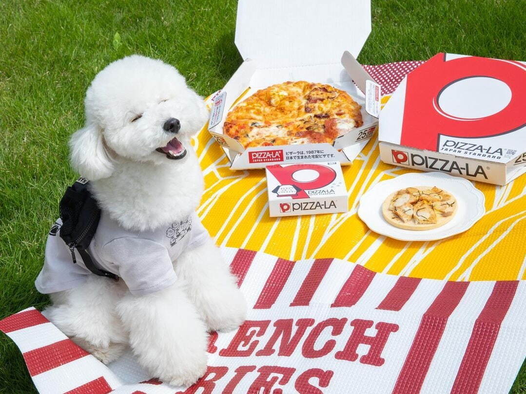 ピザーラが“犬用ピザ”販売へ、人気ピザ“テリヤキチキン”風のトッピング＆宅配サービスも受付｜写真1
