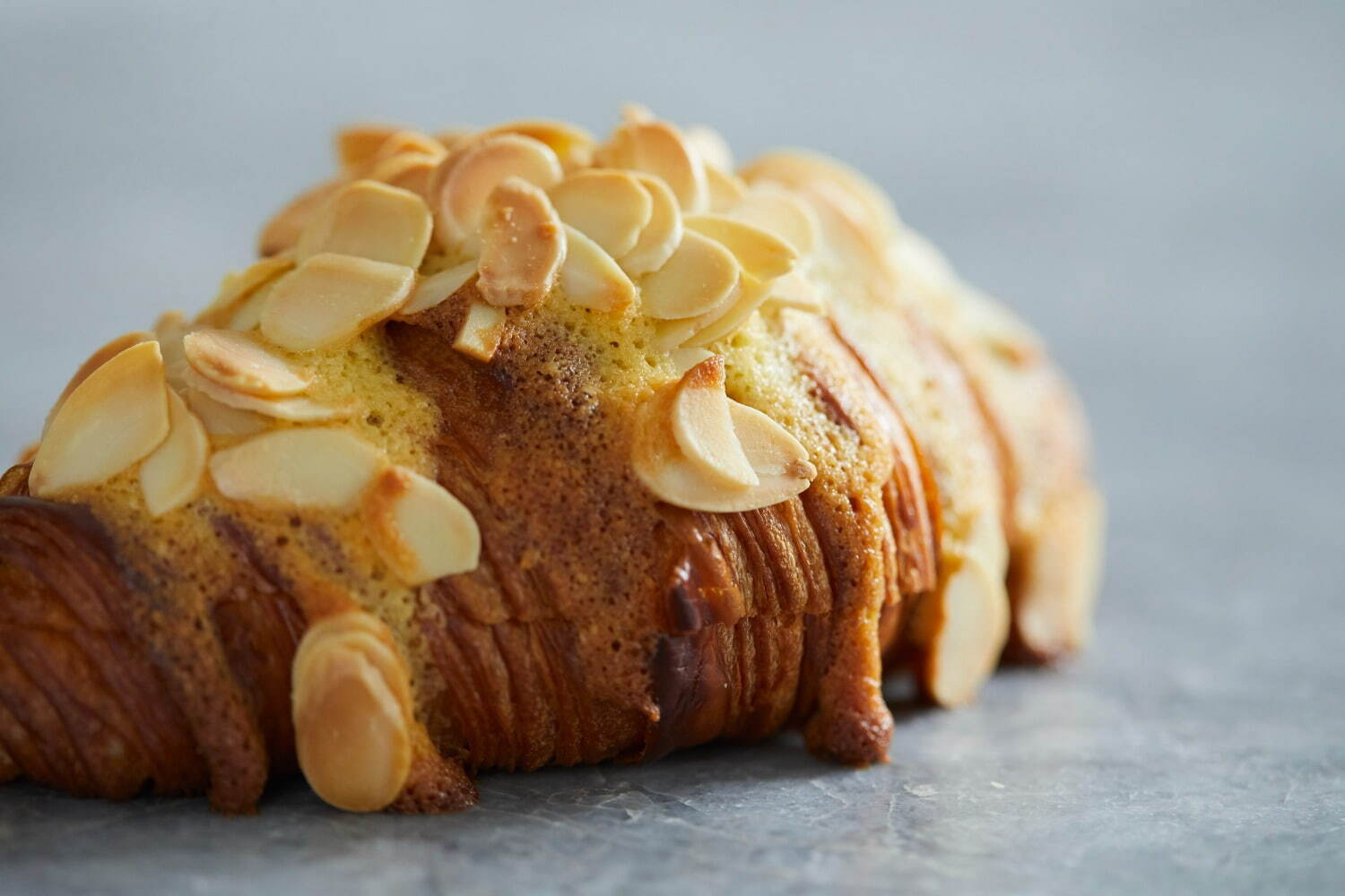 人気パン屋が小田急百貨店新宿店に集結「パンのある暮らし」行列必至のコッペパンやクロワッサン