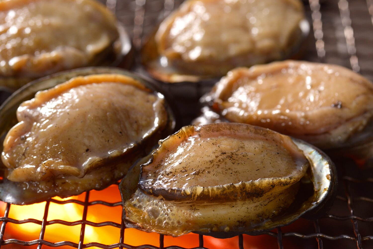 「焼き蝦夷あわび(北海道ハーベスト)」