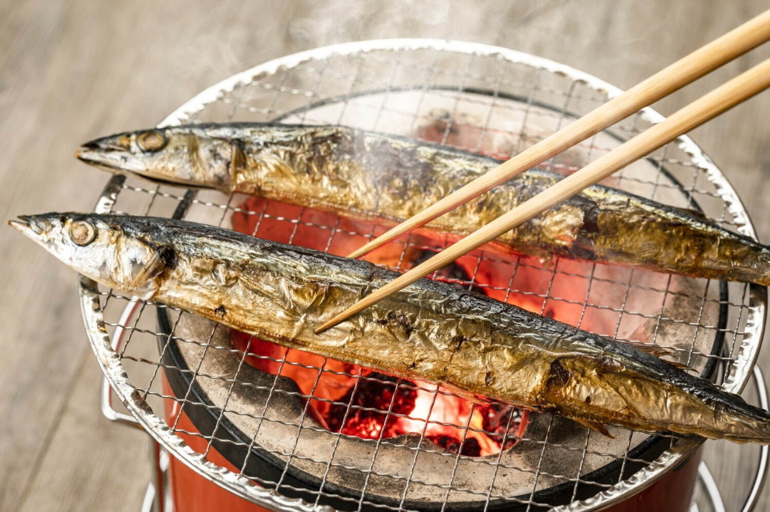日本最大級の魚介フェス「魚ジャパンフェス」大阪・万博記念公園に全国の海鮮料理が集結｜写真11