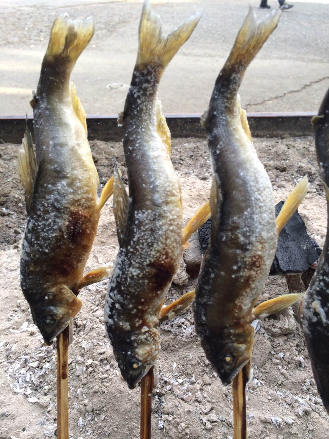 日本最大級の魚介フェス「魚ジャパンフェス」大阪・万博記念公園に全国の海鮮料理が集結｜写真7