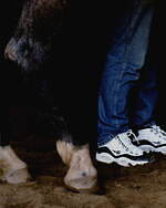 リーボック(Reebok) クエスチョン ミッド＆クラブシー｜写真1