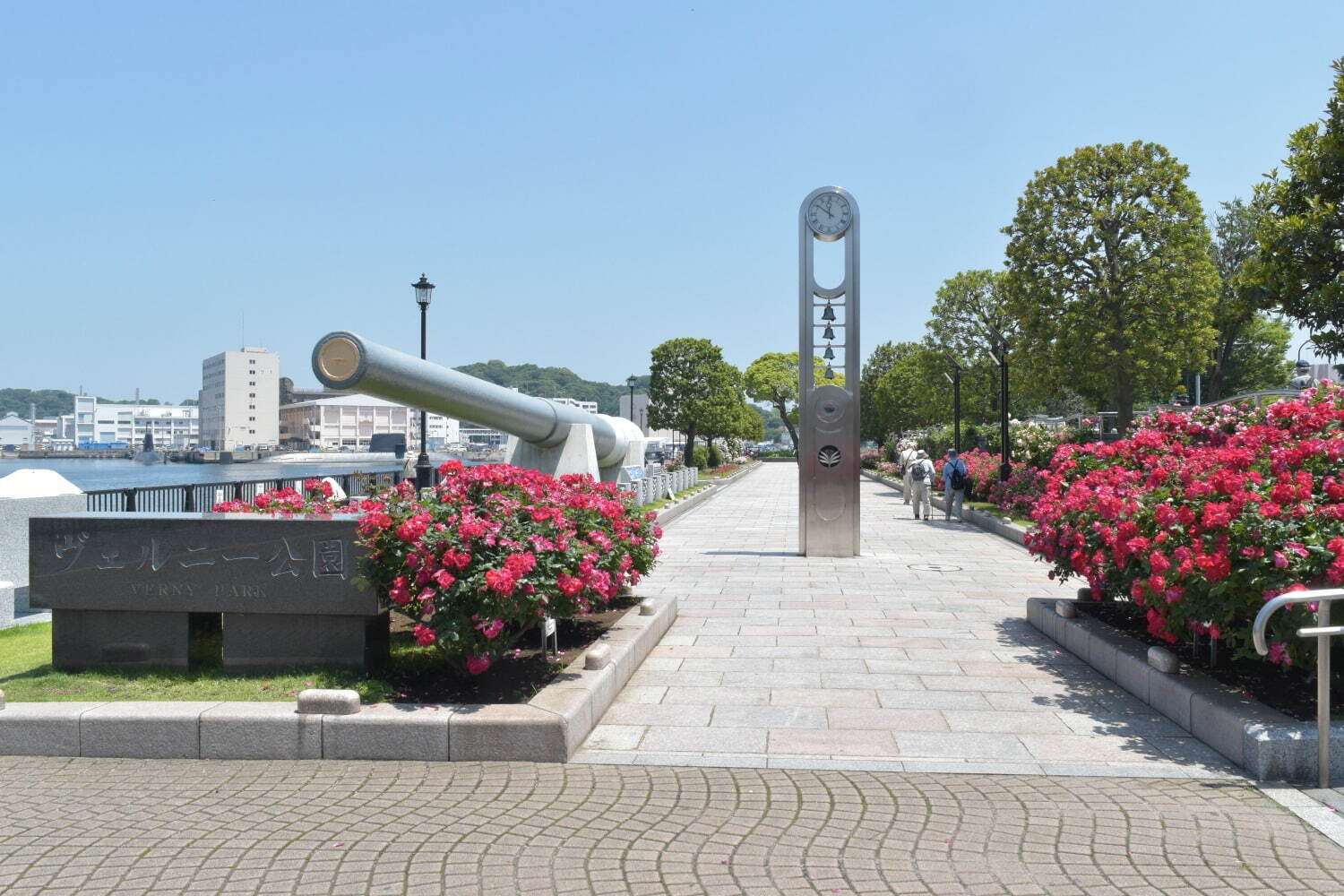 「春のローズフェスタ」横須賀・ヴェルニー公園に約1,700本色とりどりのバラが咲き誇る｜写真10