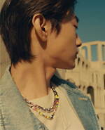 ルイ・ヴィトン(LOUIS VUITTON) LV パラダイス｜写真12