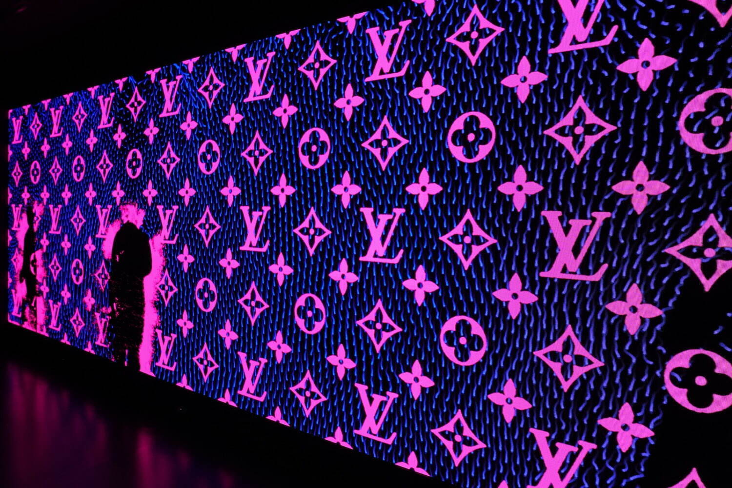 ルイ・ヴィトン(LOUIS VUITTON) SEE LV｜写真23