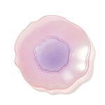 フランフラン(Francfranc) オパール｜写真8