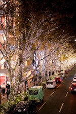 「表参道イルミネーション2016」開催 - 表参道のけやき並木が、約50万の光で幻想的空間へ｜写真3