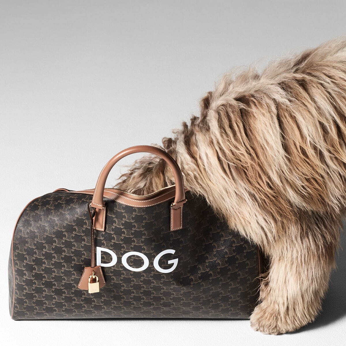 セリーヌ(CELINE) DOG｜写真22