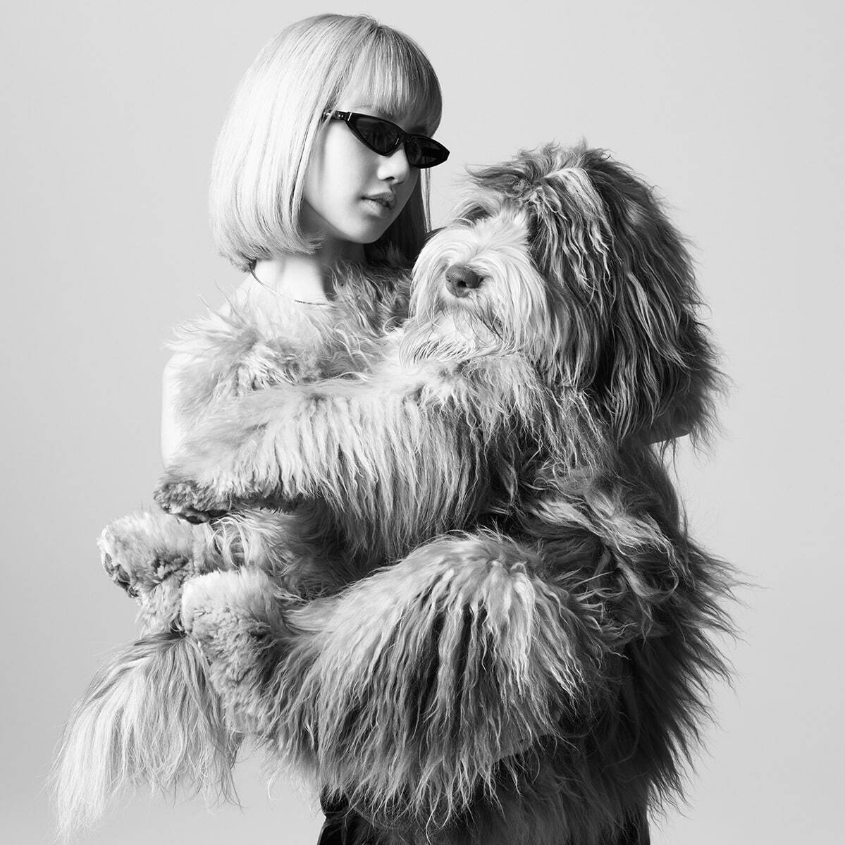 セリーヌ(CELINE) DOG｜写真24