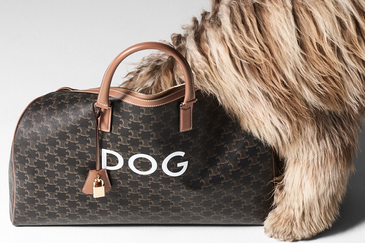 セリーヌ新作ドッグアクセサリー「DOG」トリオンフ キャンバスの犬用ボウルやチャーム付き首輪