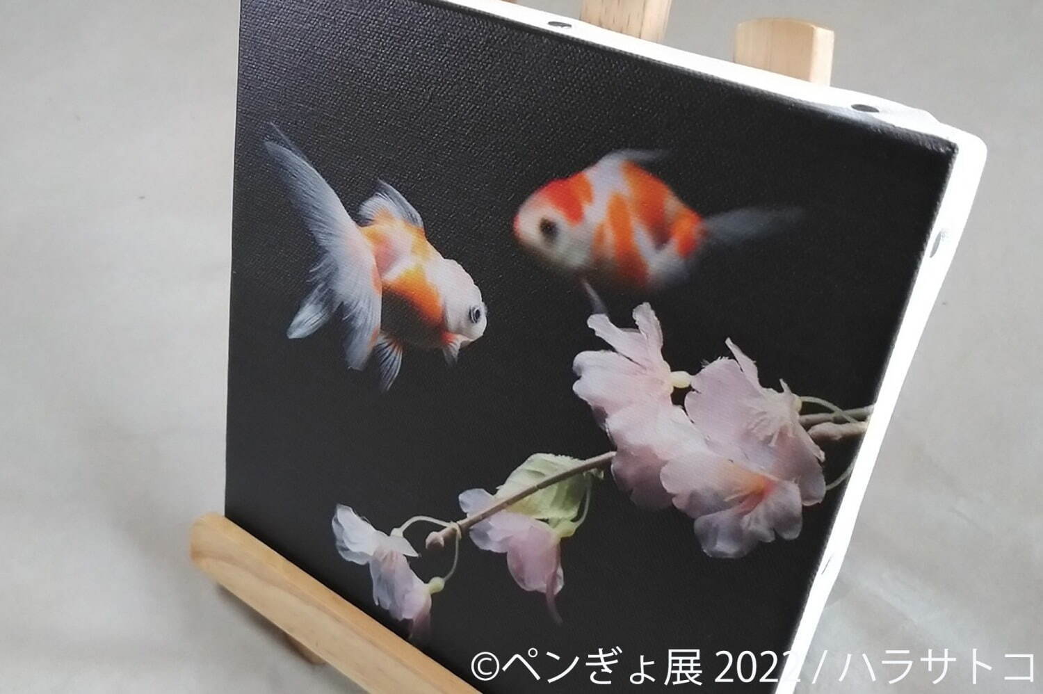 「ペンぎょ展」ペンギンと⾦⿂の合同写真展＆イラスト物販展、東京・名古屋・福岡で開催｜写真27