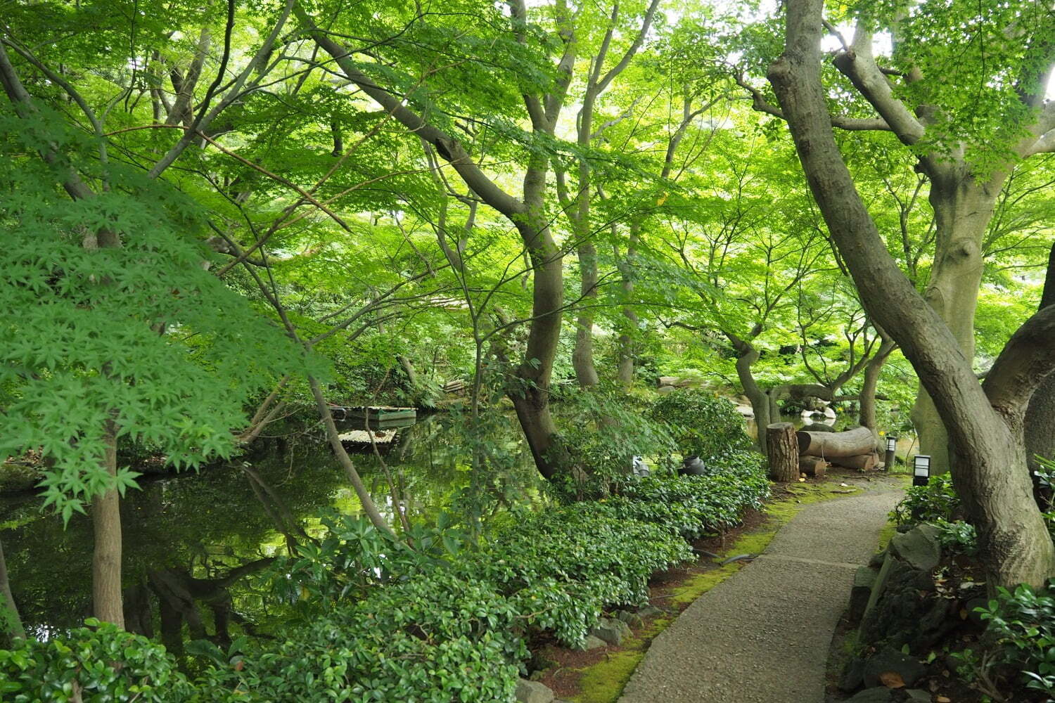 庭園｜新海誠のアニメ映画『言の葉の庭』宿泊プラン、ホテルニューオータニ(東京)で - コラボメニューも