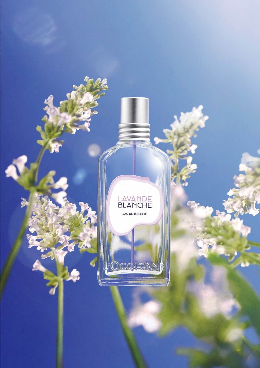 L'OCCITANE  ホワイトラベンダー　コンプリート