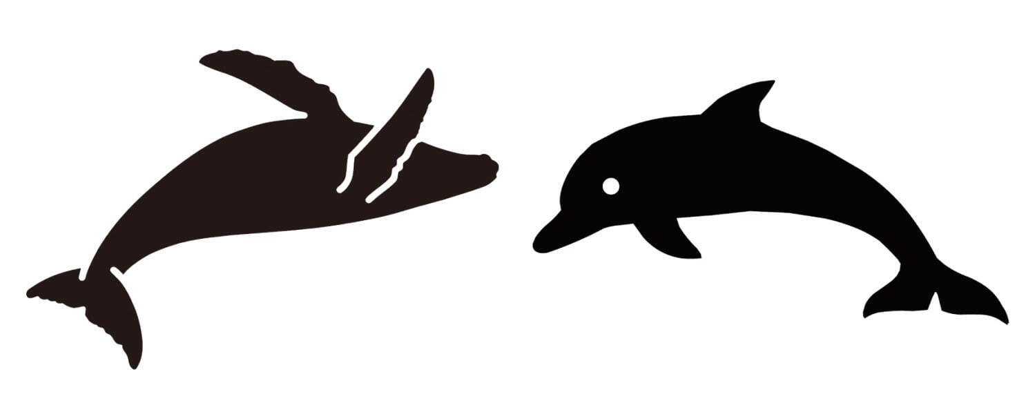 G-SHOCK&BABY-Gにイルカとクジラが描く"虹"モチーフの腕時計、レインボーカラーのベゼル｜写真10